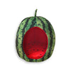 Watermelon Pet Bed