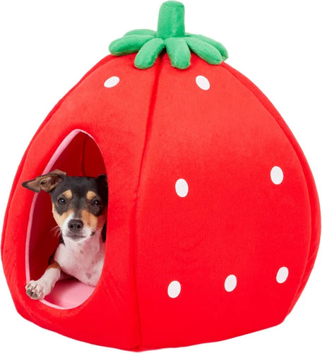 YML Strawberry Covered Cat & Dog Bed Small