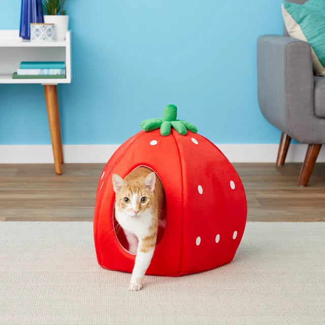 YML Strawberry Covered Cat & Dog Bed Small