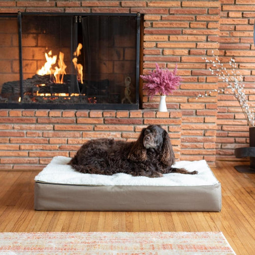 Super Orthopedic Lounge Medium Dog Bed Hazelnut w/ Cream Sherpa