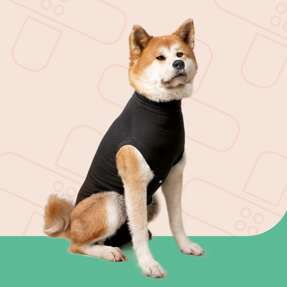 Suitical Recovery Suit® Dog - Large Black