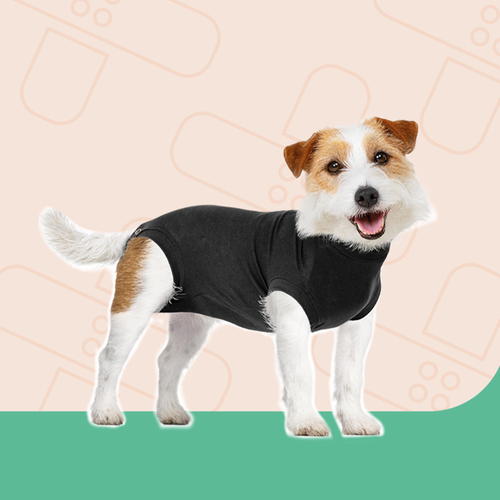 Suitical Recovery Suit® Dog - Extra Small Black
