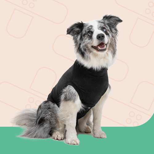 Suitical Recovery Suit® Dog - Medium Black