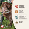 Fromm Family Classic Adult Dry Dog Food - 30lb