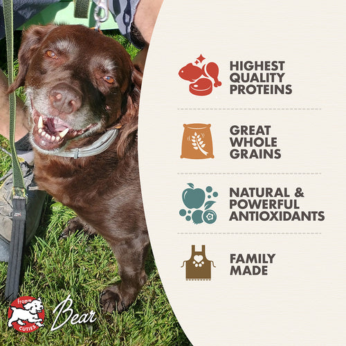 Fromm Family Classic Adult Dry Dog Food - 30lb
