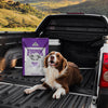 Fromm Family Classic Adult Dry Dog Food - 30lb