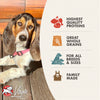 Fromm Family Adult Gold Dry Dog Food