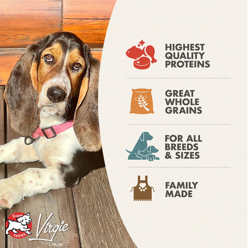 Fromm Family Adult Gold Dry Dog Food