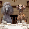 Fromm Family Adult Gold Dry Dog Food