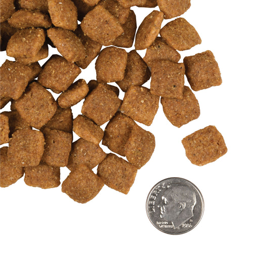 Fromm Family Adult Gold Dry Dog Food
