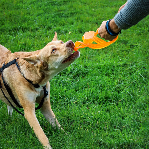 BIONIC TOSS-N-TUG® DOG TOY