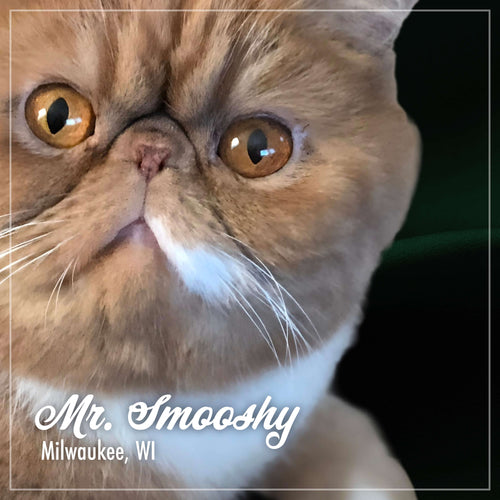 Fromm PurrSnickitty Duck Liver Pâté -3oz