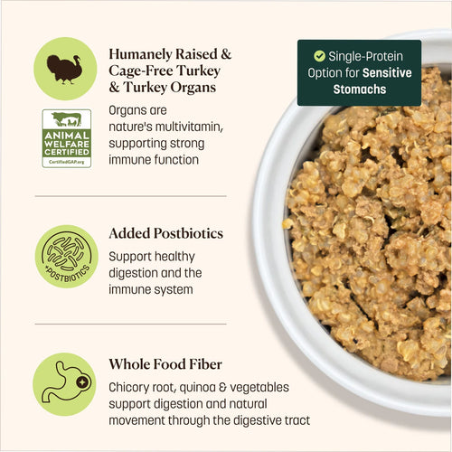 Dr. Bob Goldstein's Wisdom® Homestyle Paté Turkey Harvest Recipe Wet Cat Food - 5.5oz