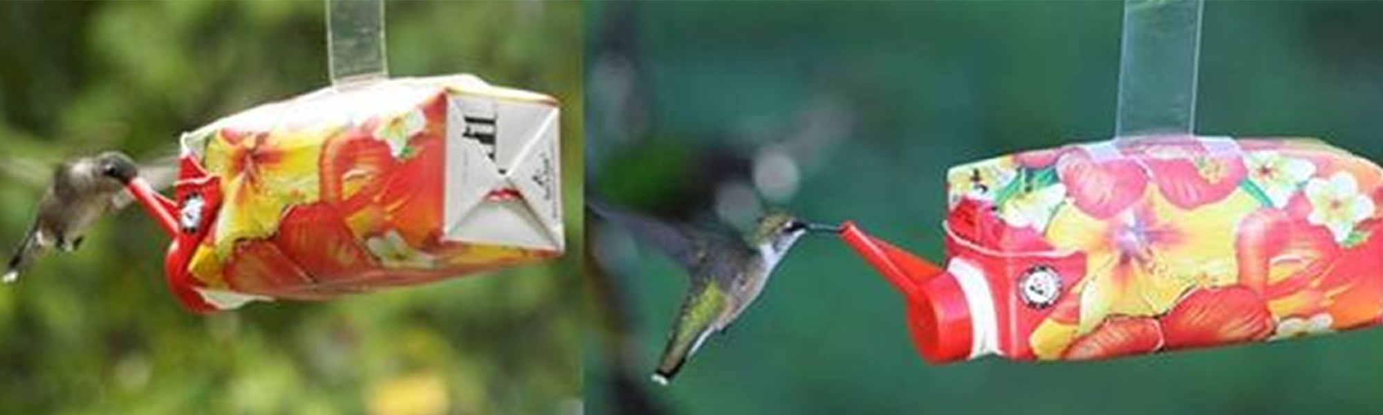 EZNectar® Happy Hummers!® Fast-Feeder® Prefilled, "Juice Box", Recyclable,  Ready-to-use Hummingbird Feeder 330 ml (11 fl. oz.)
