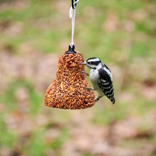 Mr. Bird Flaming Hot Feast - Bell