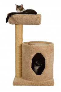 Molly and friends cat scratching post hotsell