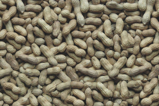 Song of America Whole Fancy In-Shell Peanuts