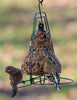 Mr. Bird Seed Bell Hanger