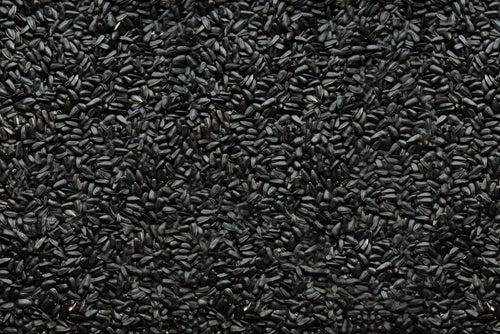 Song of America Premium Black Oil Sunflower Seed