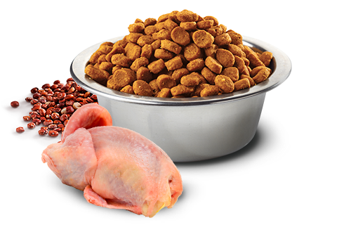 Farmina N&D Quinoa Skin & Coat Quail for Dogs