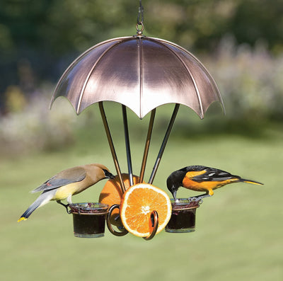 Brushed Copper Oriole Feeder