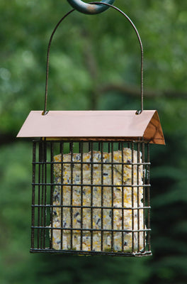 Coppertop Single Suet Cage Feeder