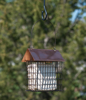 Coppertop Double Suet Cage Feeder