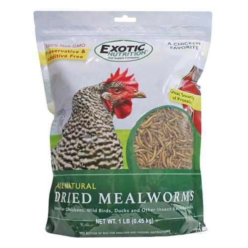Exotic Nutrition Dried Mealworms
