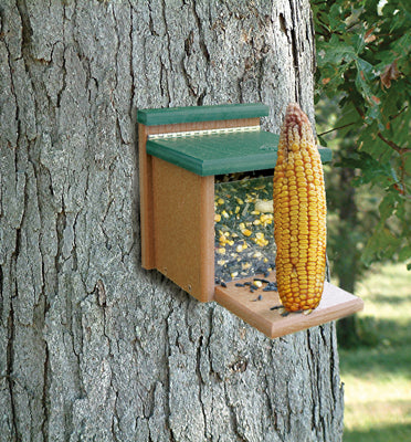 Going Green Squirrel Munch Box