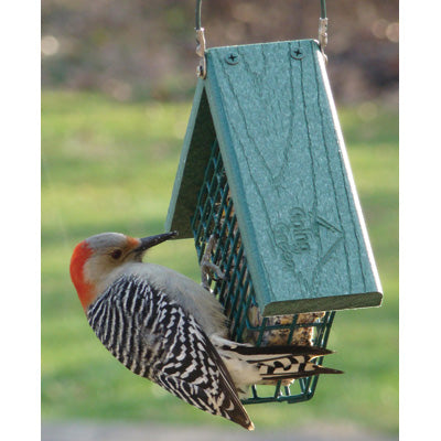 Going Green Suet Feeder