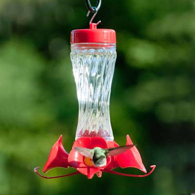Glass Swirl Hummingbird Feeder