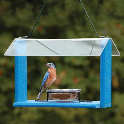 Going Green Recycled Bluebird Feeder - Blue