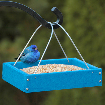 Going Green Small Platform Feeder - Blue