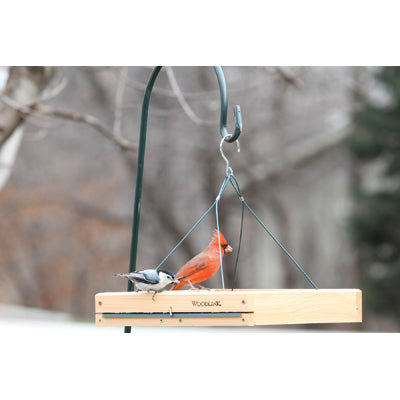 Hang, Pole Mount or Ground Platform Feeder