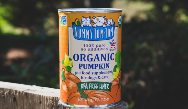 Nummy Tum-Tum Organic Pumpkin — Agri Feed Pet Supply