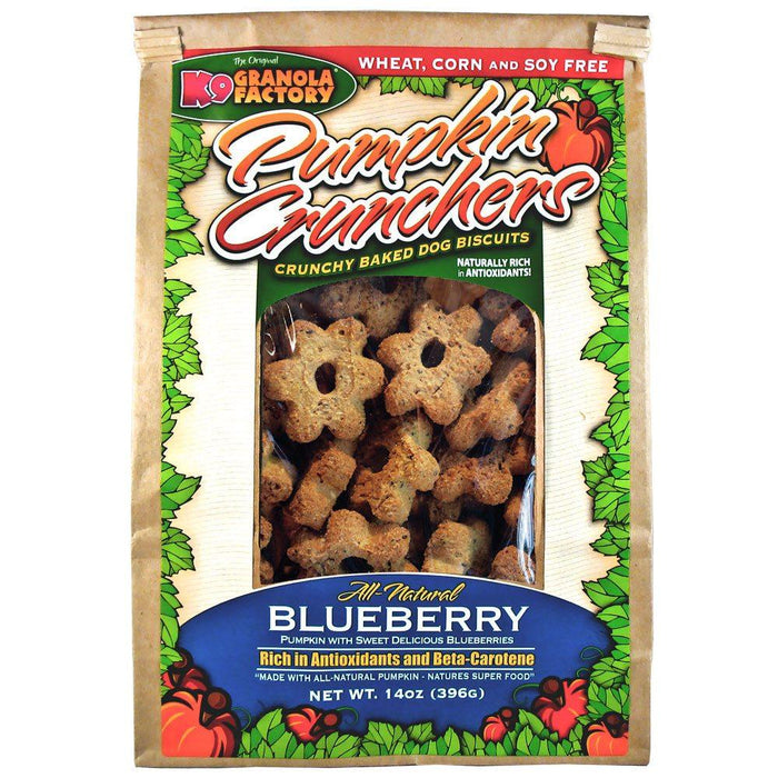 Pumpkin Crunchers with Blueberry