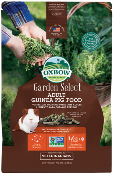 Oxbow young 2024 guinea pig food