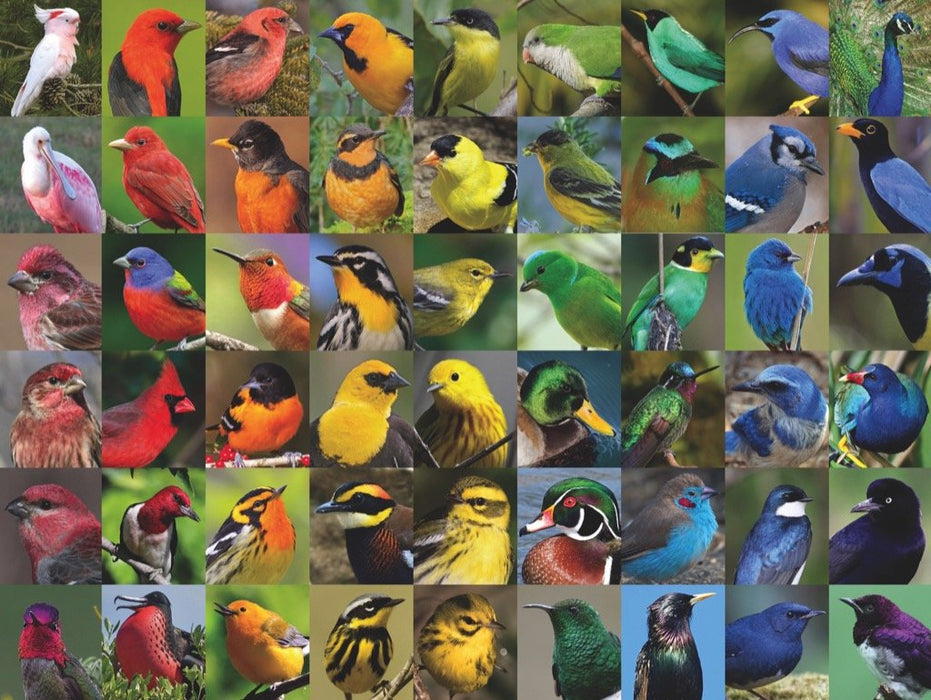 Rainbow of Birds Puzzle