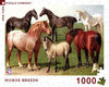 Horse Breeds Puzzle