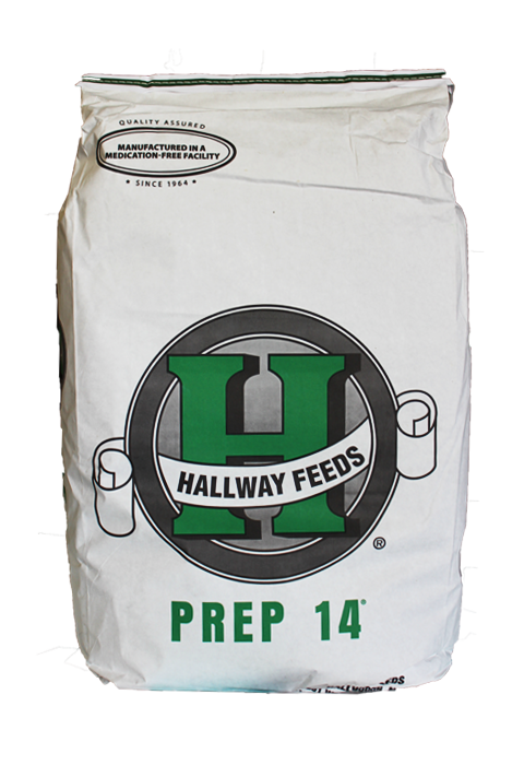 Hallway Feeds Prep 14®