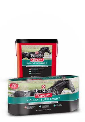 Purina® Amplify® High-Fat Horse Supplement