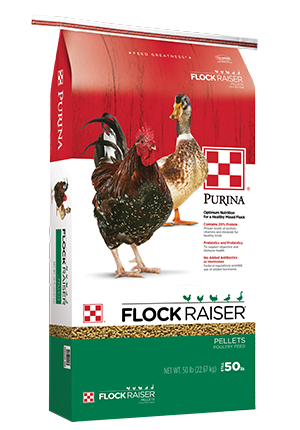 Purina® Flock Raiser®