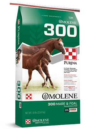Purina® Omolene #300® Horse Feed