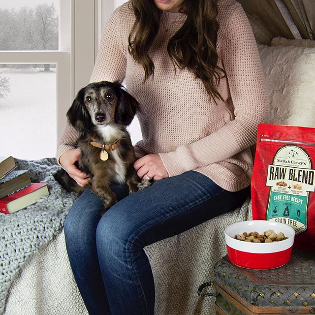 Stella & Chewy's Cage-Free Raw Blend Kibble