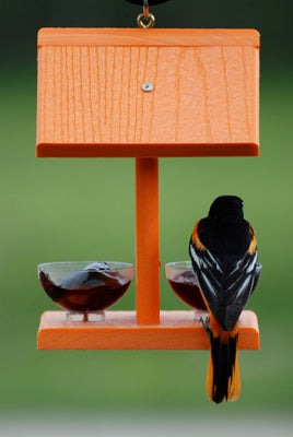 Recycled Orange Jelly Feeder