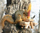 Picnic Table Ear Corn Squirrel Feeder