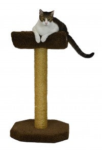 Molly and Friends Kitty Cot Cat Scratching Post with Cradle