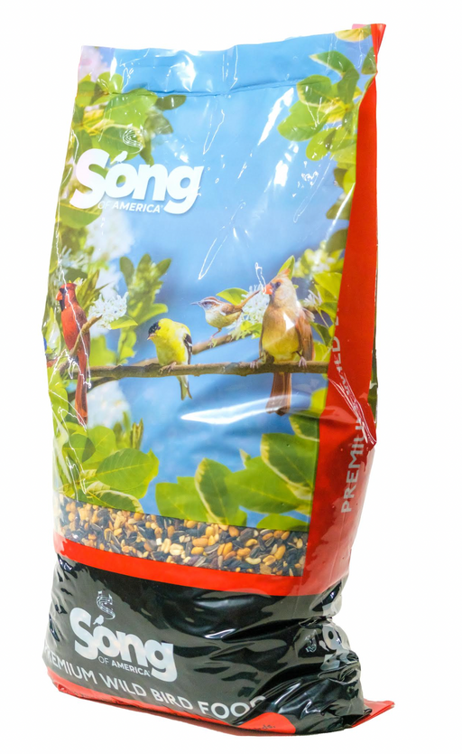 Song of America Woodpecker Wowie Seed