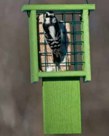 Going Green Tail-Prop Suet Feeder