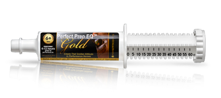 Perfect Prep EQ Gold Paste